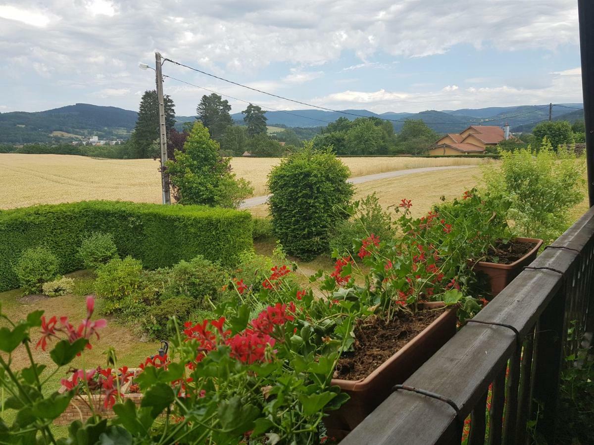 Le Clos Des Aulnes Anould 외부 사진